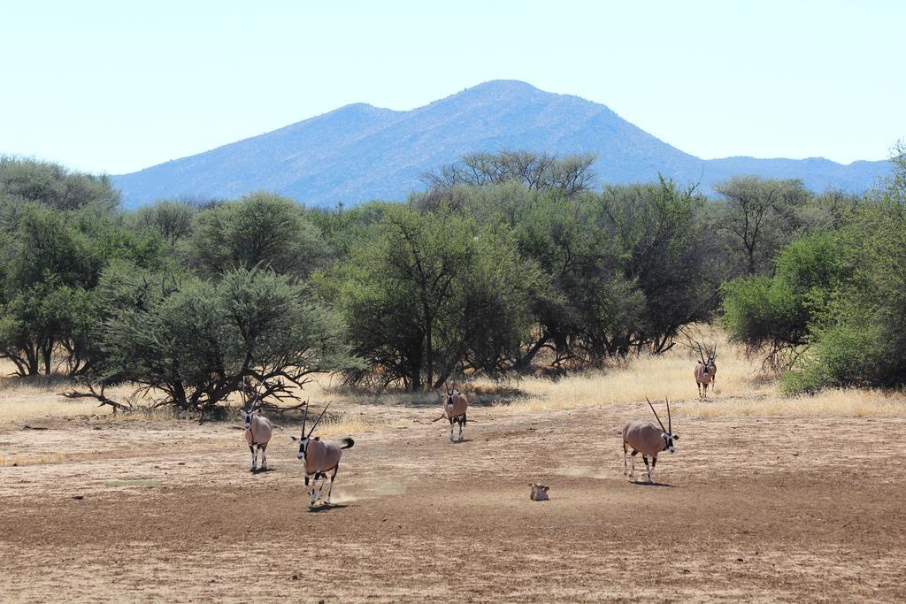 Haasenhof Gastefarm Villa Okahandja Exterior photo
